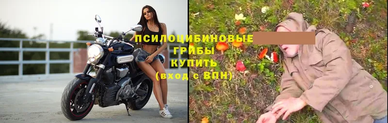 Где купить наркоту Ивдель ГАШИШ  Конопля  КОКАИН  Амфетамин  Мефедрон 